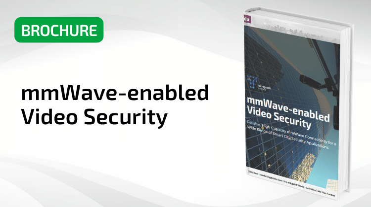 mmWave-enabled Video Security